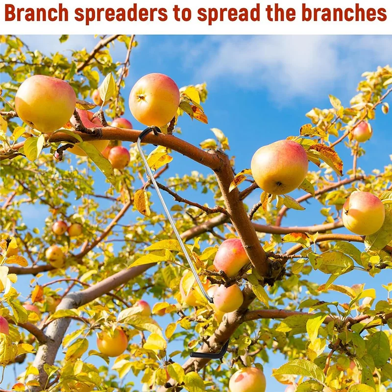 

Разбрасыватель конечностей с пластиковым шлангом ABVA, 24 шт., 10-дюймовый разбрасыватель для съемника ветвей деревьев, открывалка для промежности