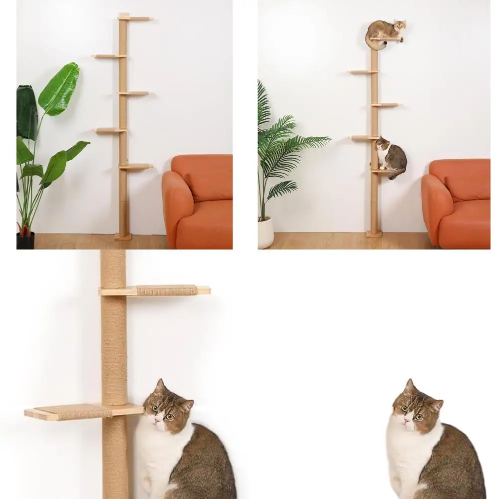 

5-Level Wall-Mounted Cat Tree with Scratching Post and Climbing Shelves for Kittens