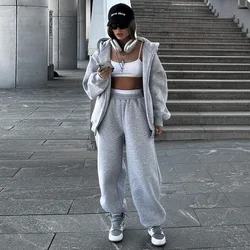 Sweatshirt Women 2024 New Style Hooded Polar Fleece Cardigan Sweatshirt Suit Two Piece Suit Women Ensemble Femme 2 Pièces Été