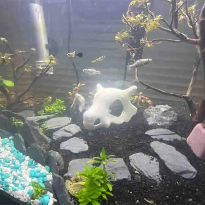 Cubone Skull Compatible with Aquarium,Reptile,Fish Tank,Arachnid