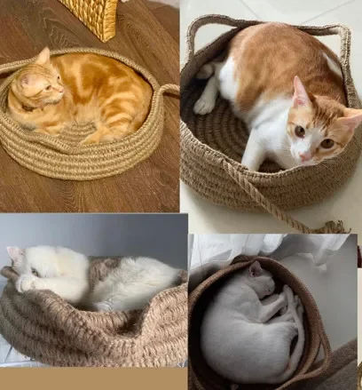 High quality cat scratcher, cat products from Vietnam with the best price/ Ms Laura +84 918 509 071