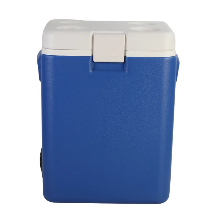 미니 냉동고 냉장고 12V 220V AC DC 쿨러 박스 미니 침실용 휴대용 냉장고 차량용 냉장고