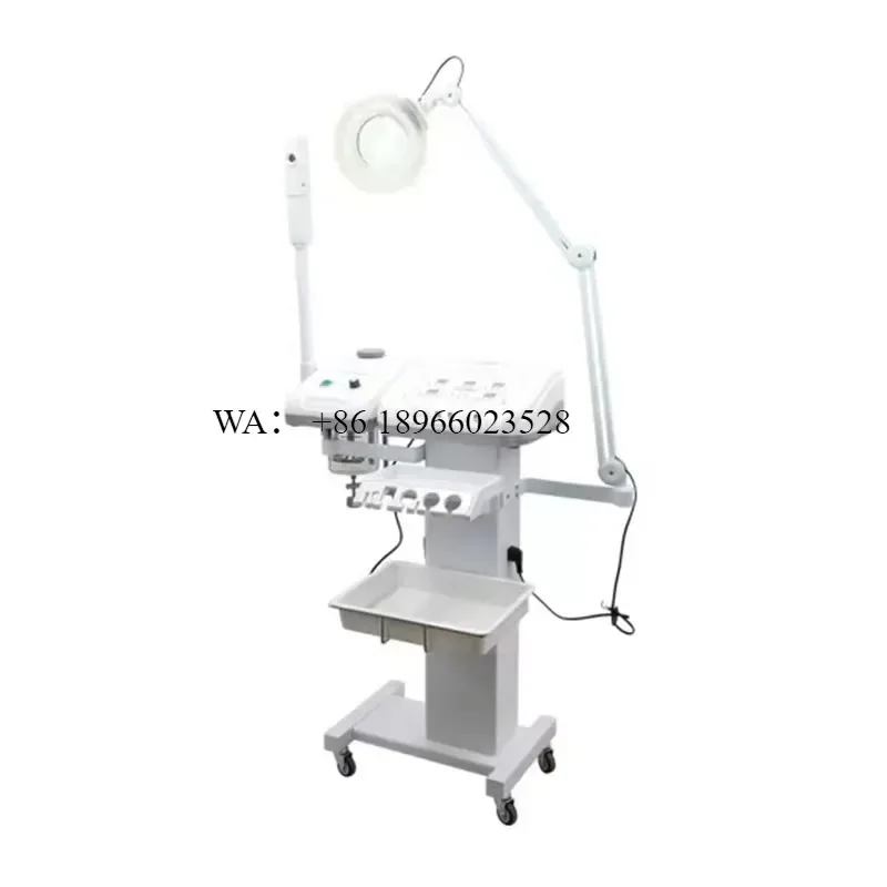 WMWMNU Hot Sale 11 in 1 Multifunction Facial Steamer With Magnifying Lamp Face Cleaning Brush for Beauty Salon