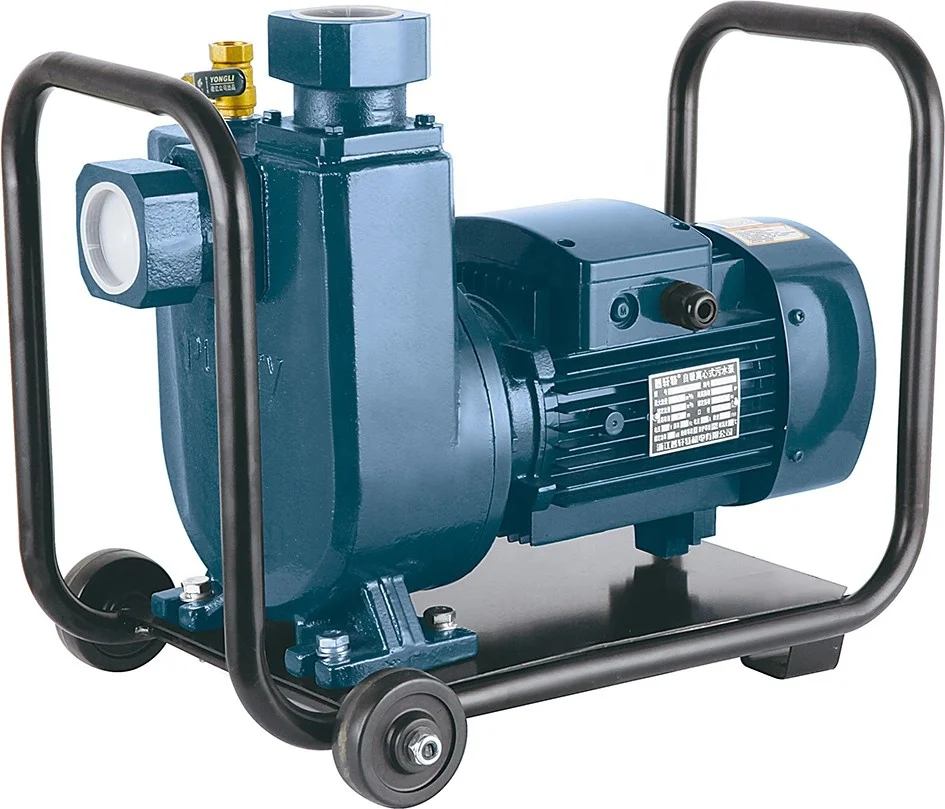 Centrifugal Self-priming Sewage Water Pump With Electric Motor