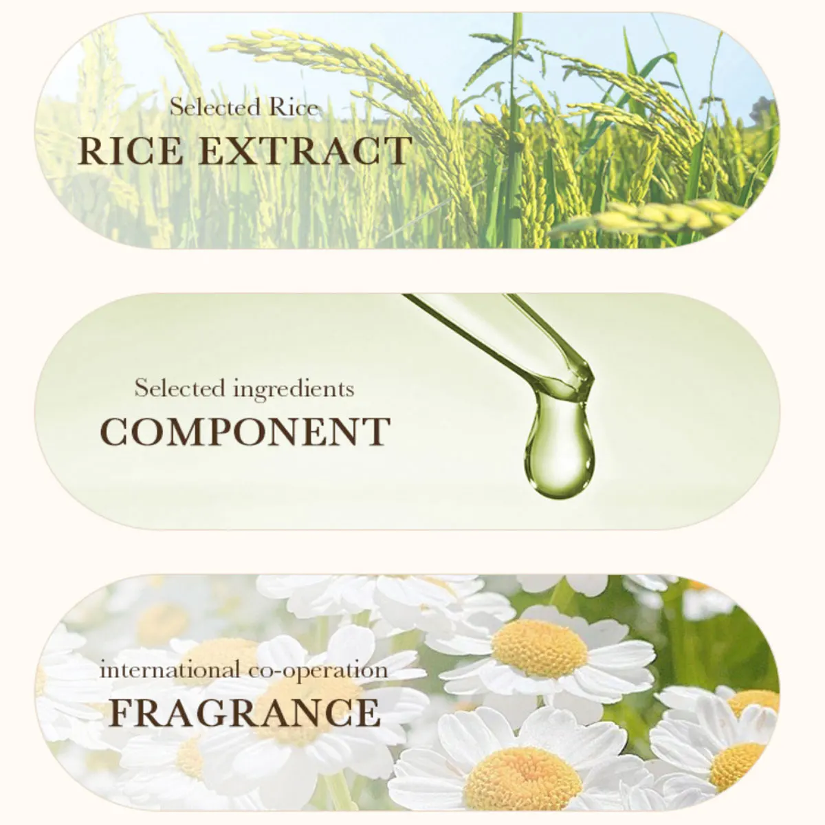 500ml Rice Conditioner Deeply Repairs Damaged Hair, Controls Oil Moisturizes, Leaves Hair Volumizing, Smooth, Shiny, And Elastic