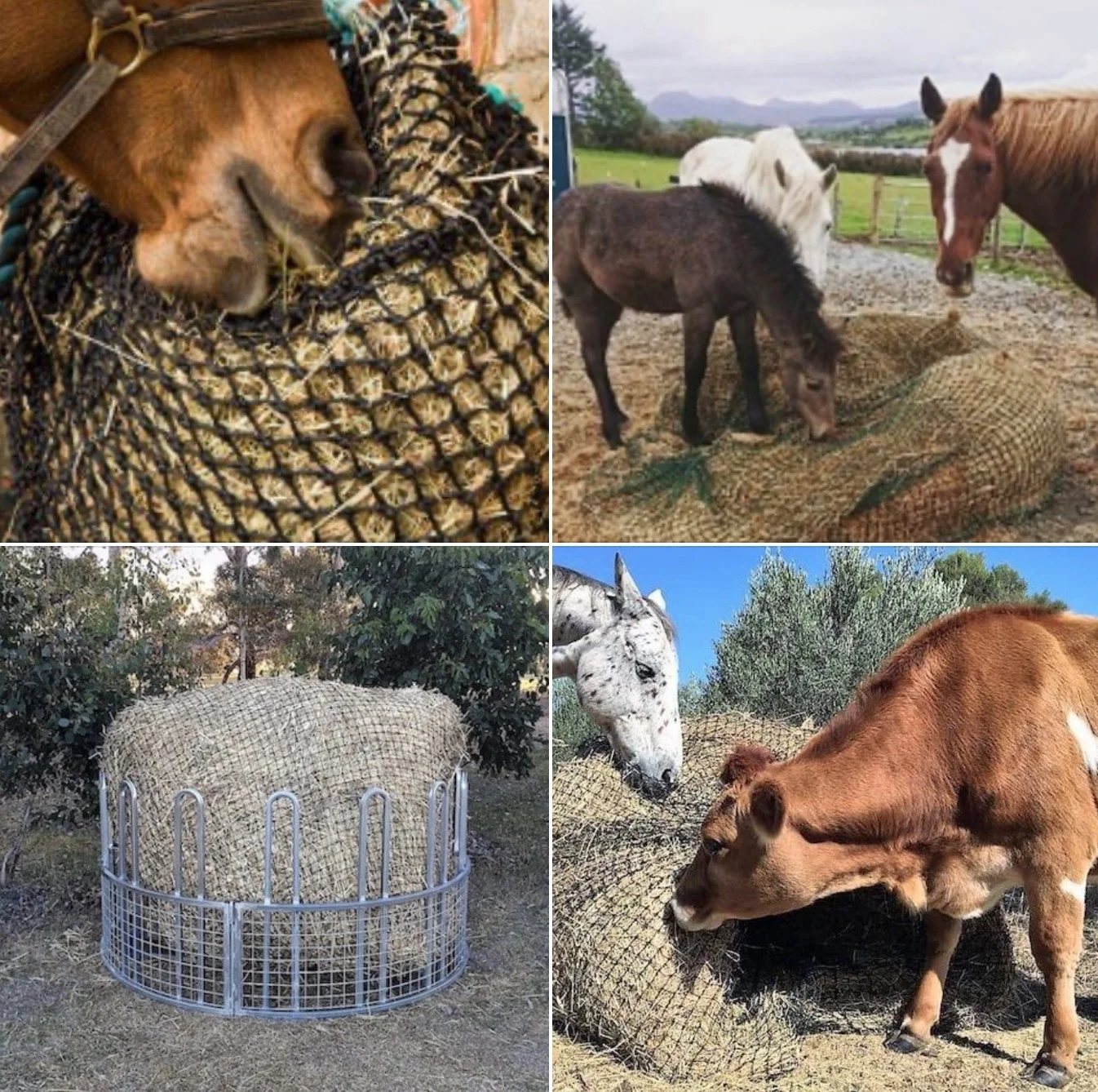 4x3ft 1.5 Inch Hole PET Polyester Square Horse Silage Hay Bale Net