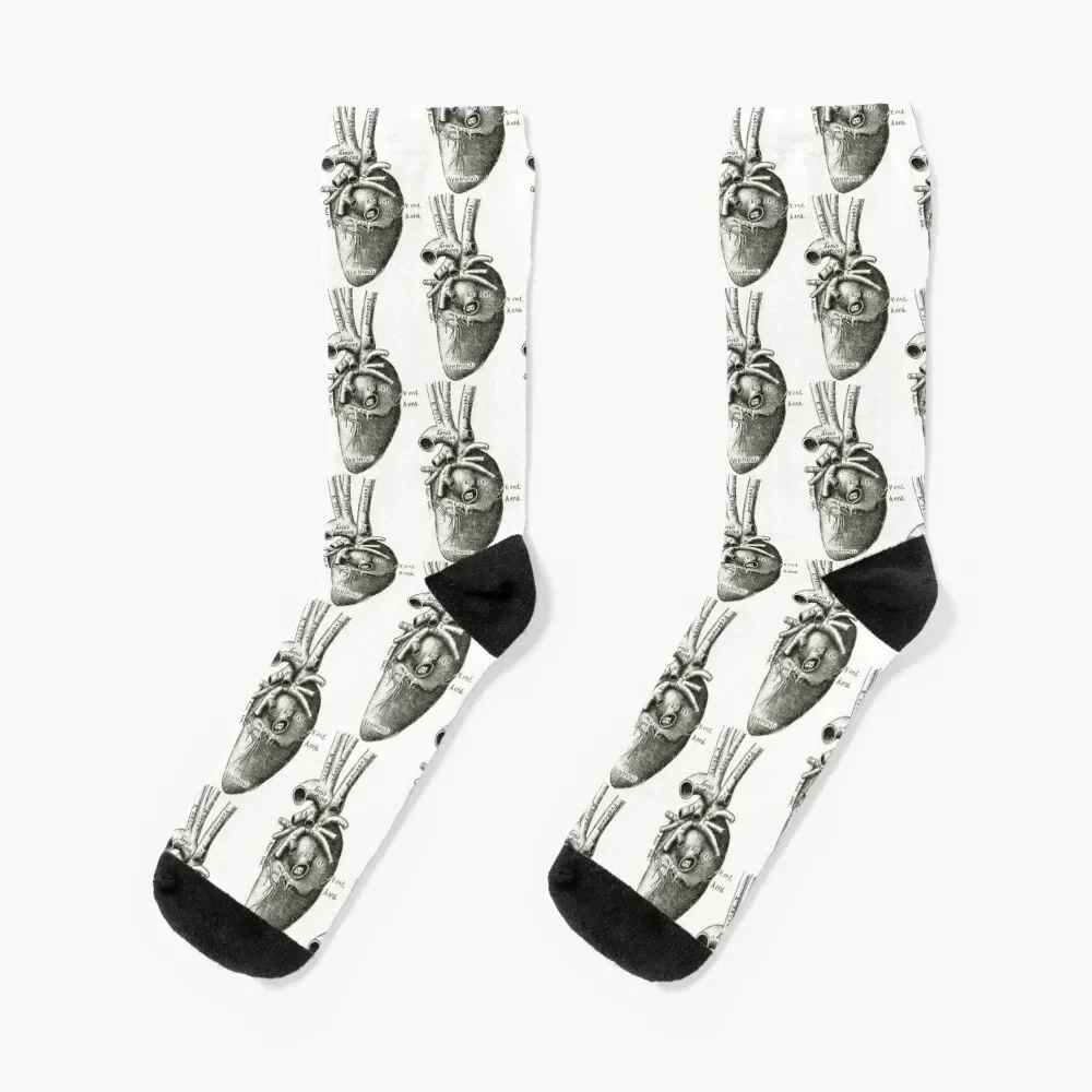 

Heart Anatomy Socks halloween cool Stockings Men Socks Women's
