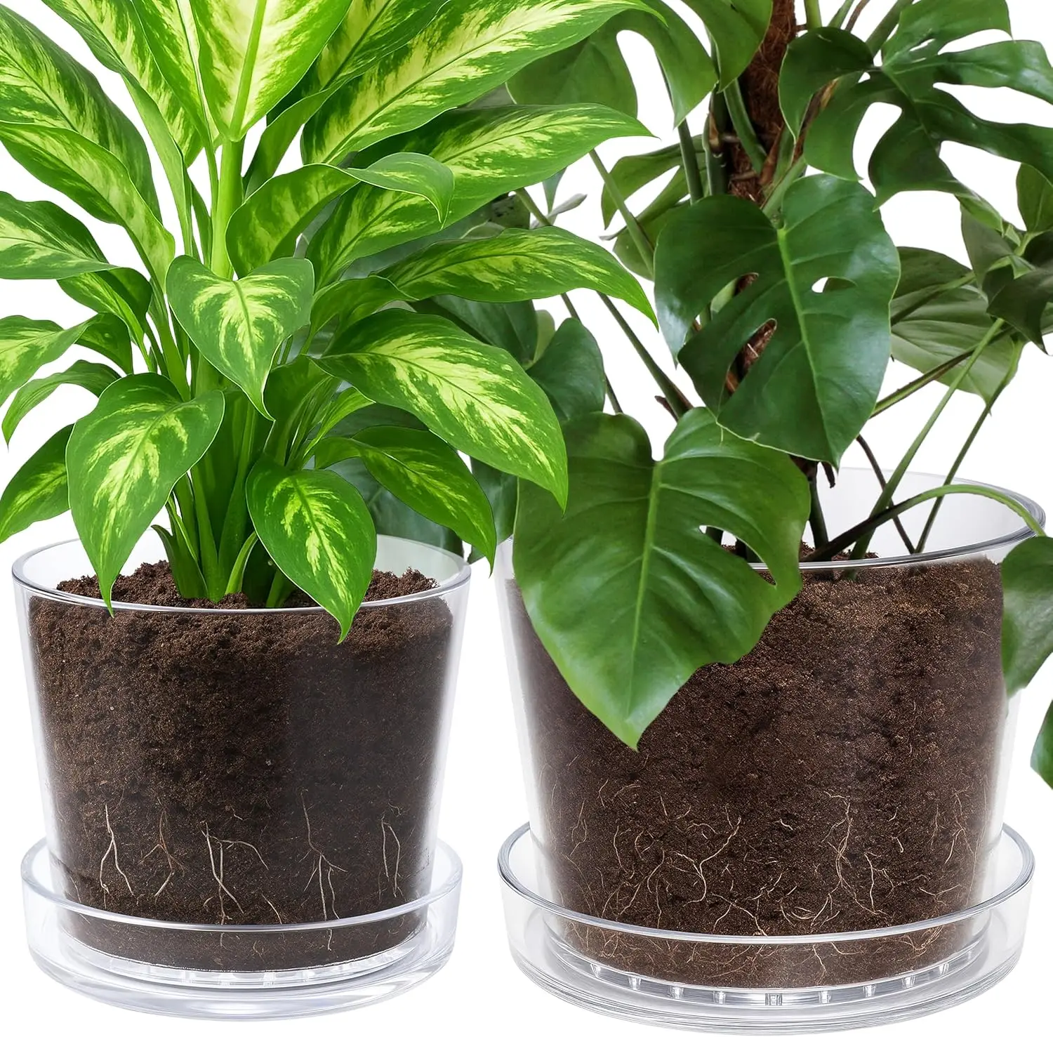 

10 Inch 12 Inch Clear Acrylic Houseplants Planter Pot with Tray, Orchid Pot with Drainage Holes, Deep Saucer for Bottom