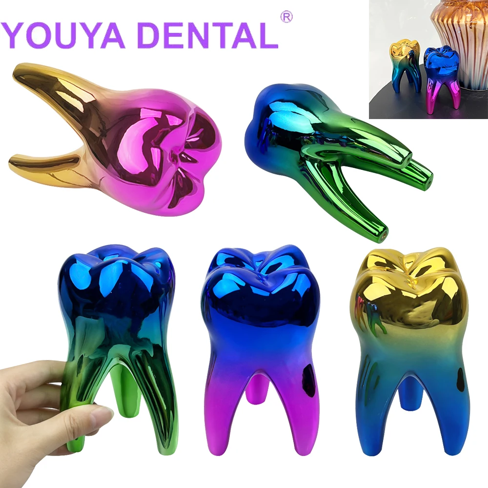 

1Pcs Creative Colored Dental Ornaments Art Crafts Teeth Model Dentist Clinic Desktop Decorations Oral Opening Gifts