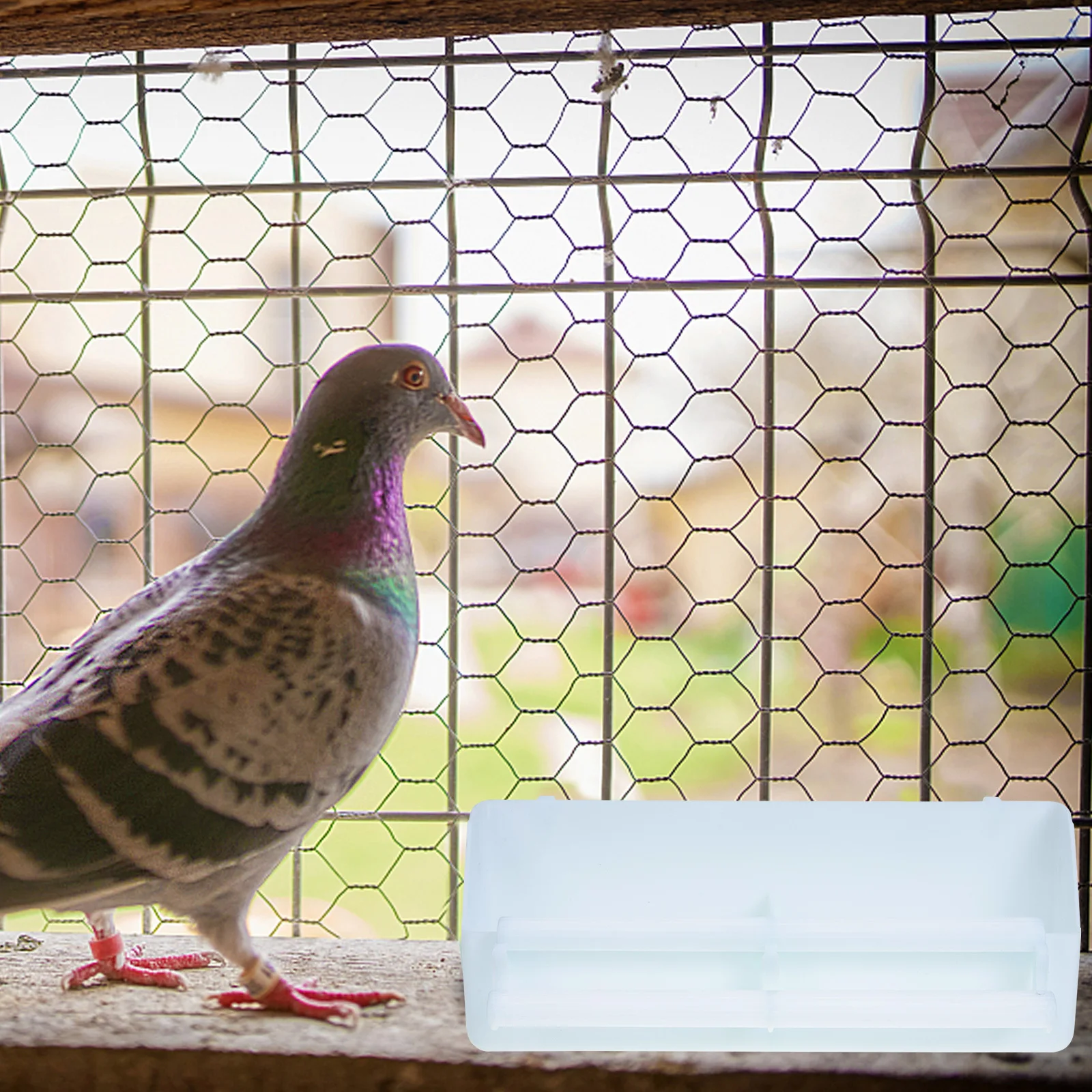 

2pcs Large Capacity Bird Food Box Plastic Hanging Pet Bird Feeder For Parrot Budgie Conure Cockatiel Feed Container With Perch