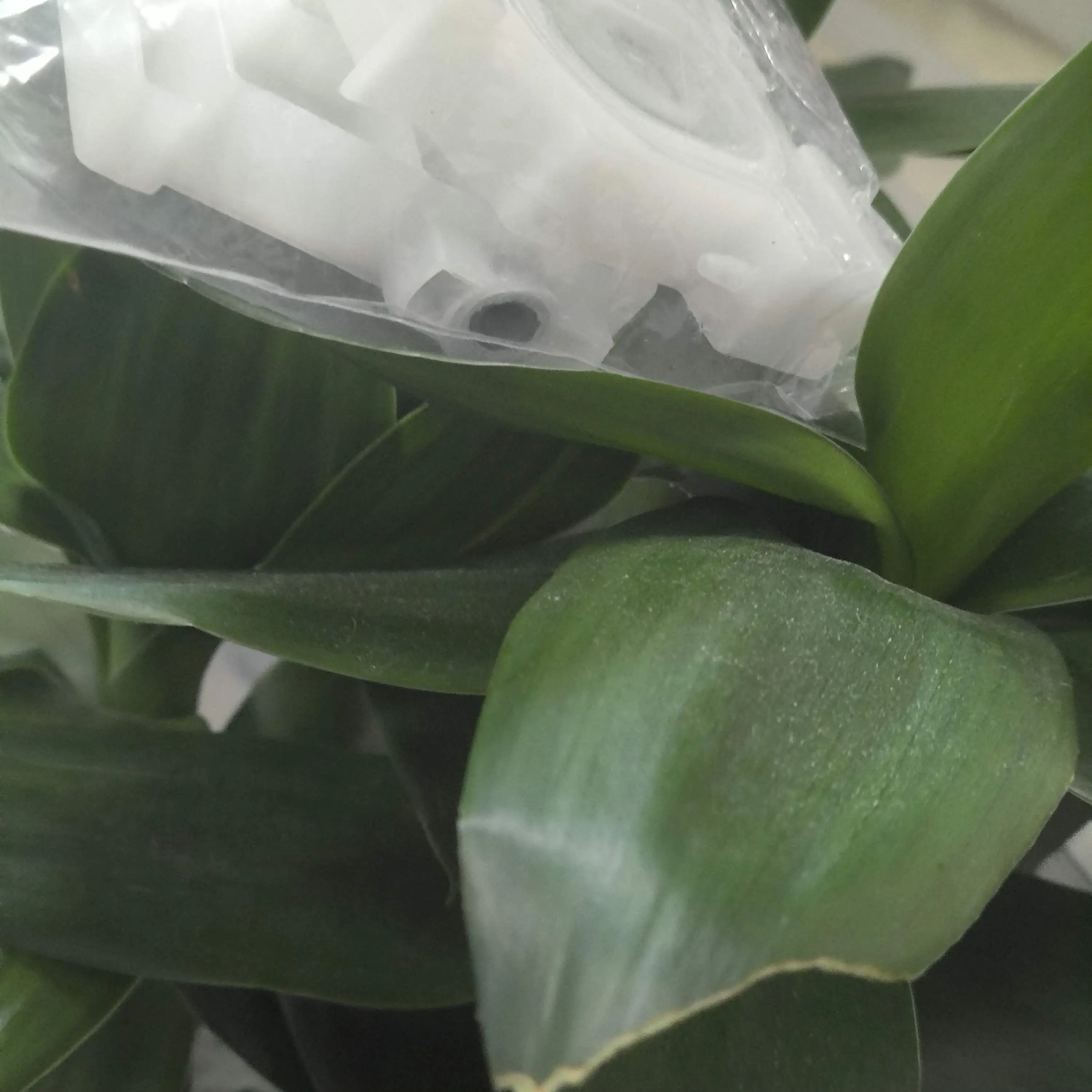 

1724143 1724144 Ink Damper Adapter ASSY for EPSON L4150 L4160 L4167 L6160 L6170 L6190 L6161 L6171 L6191 ET-3750 ET-4750