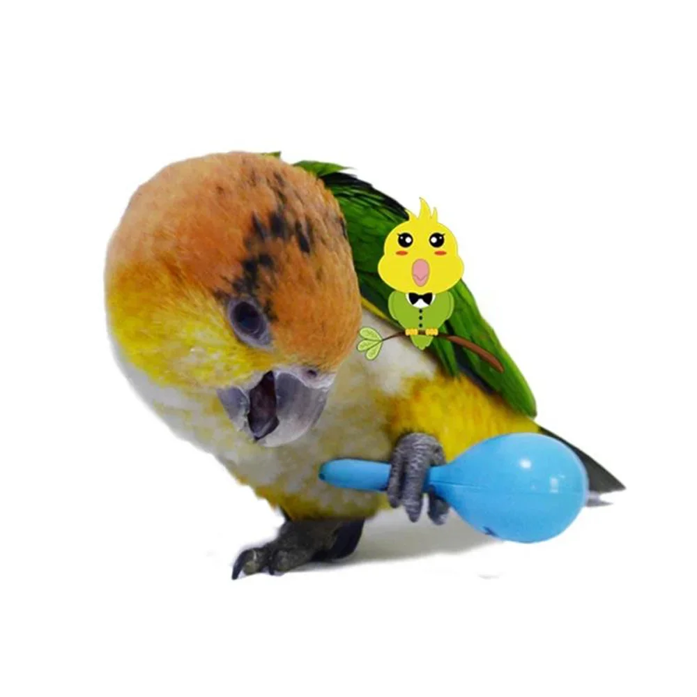 3PCS Parrot Toy Rattle Sand Hammer Sand Ball Bird Bites Wisdom Interactive Training Toys Pet Accessories Parrot Toy Supplies 앵무새