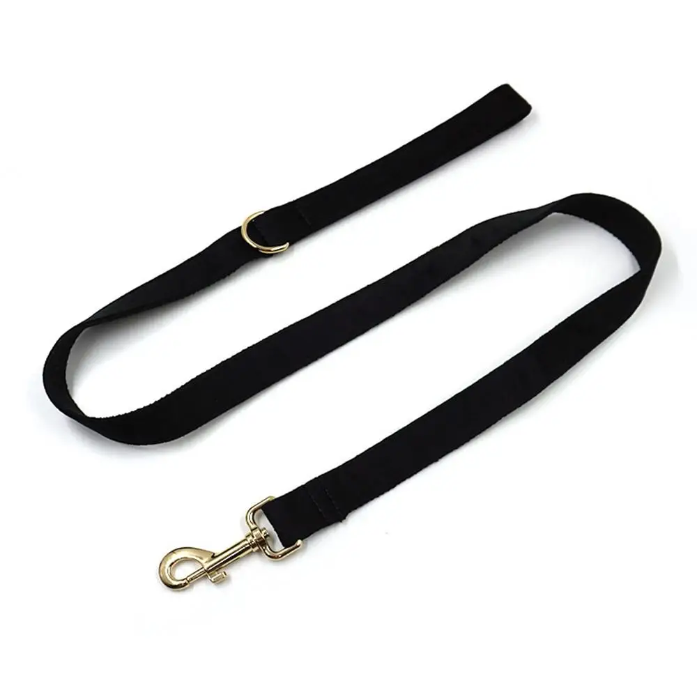 Personalisiertes Hundehalsband aus weichem Samt in mehreren Farben, individuelle kostenlose Gravur, Welpen-Haustierhalsband, passende Leine erhältlich – Detail 14