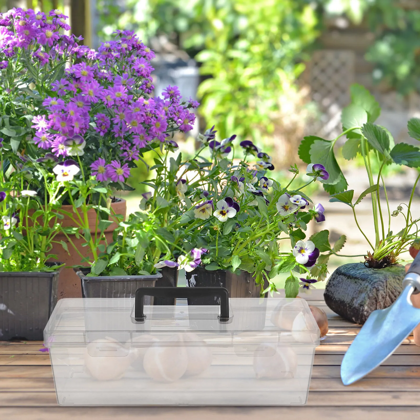Plastic Seed Storage Box Transparent Portable Compact Organizer for Garden Seeds Vegetable Flower Plant Packet Storage Case
