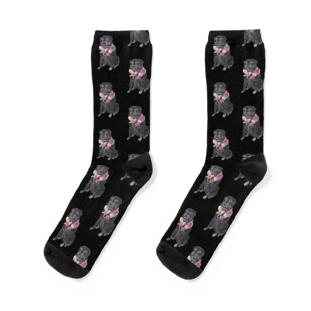 

Evy Socks men cotton high quality halloween anti slip football custom sports Men Socks Women's