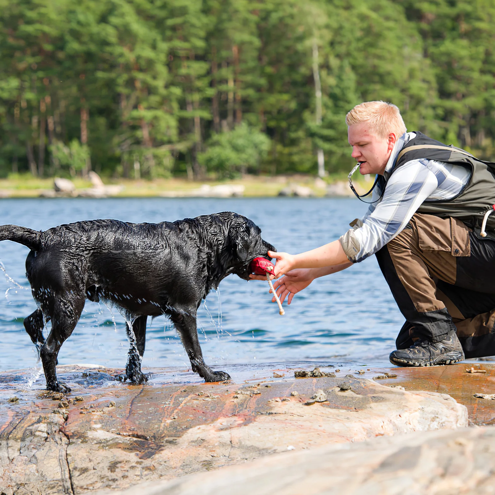 

Dog whistle Dog whistle training dog whistle dog trainer Dog trainer