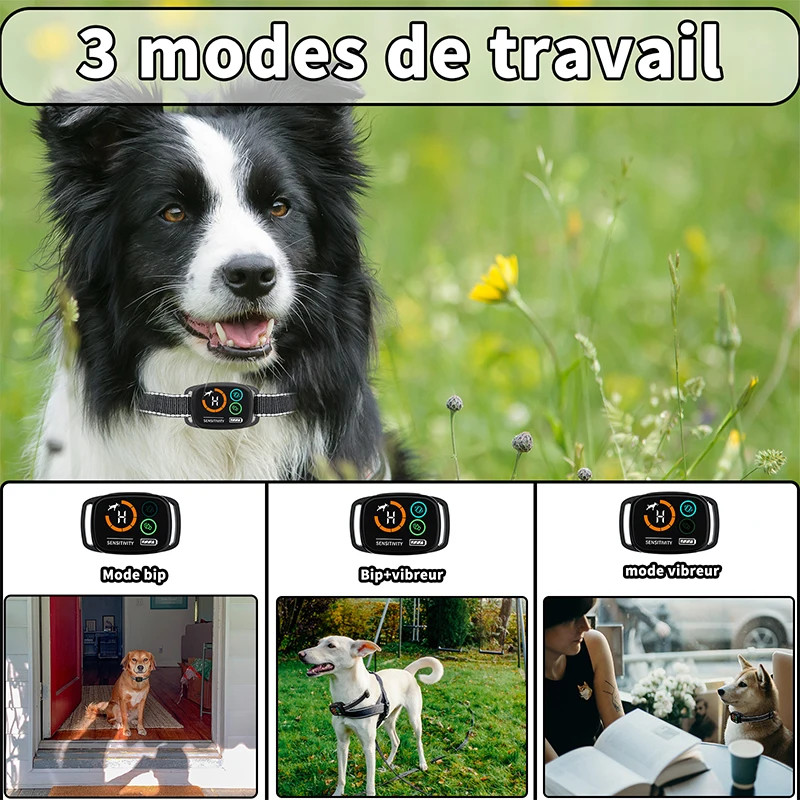 Thumbnail 3 - #8 Trending LED Dog Collars Right Now