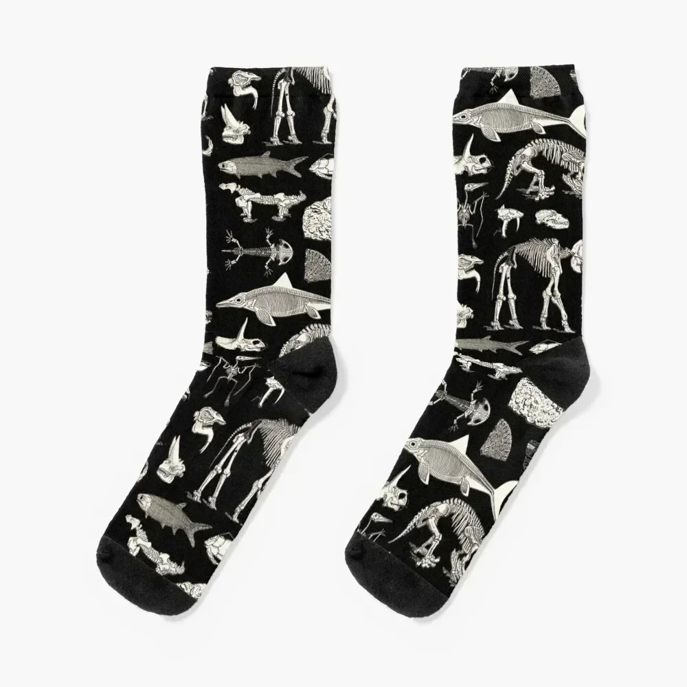 

Paleontology Illustration Socks kawaii Crossfit football Men Socks Women's set soccer anti-slip FASHION Socks Women Men's