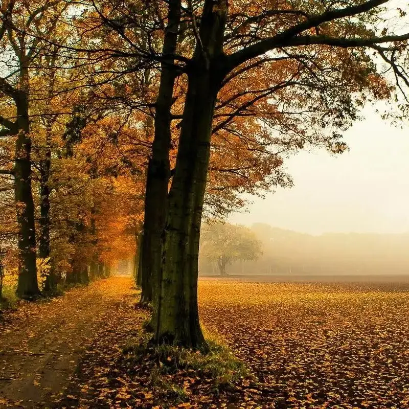 

100 долларов США компенсирует ссылку на разницу в цене