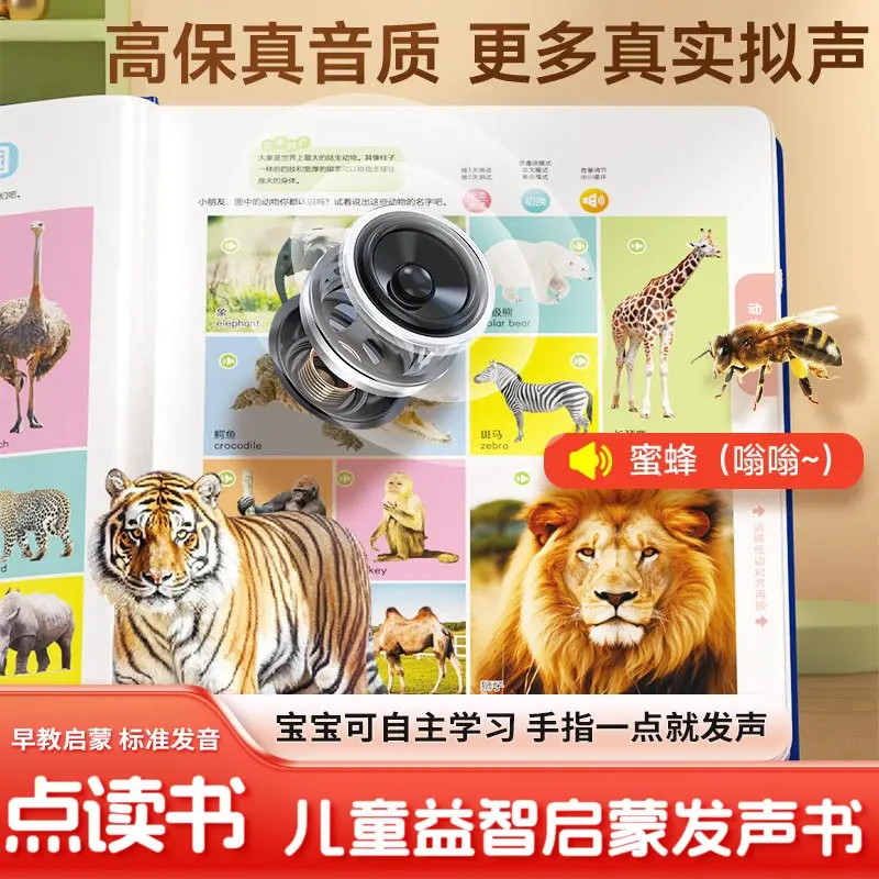 

Chinese Character Recognition Audiobook, Transition From Kindergarten To Primary School, Children's Early Education Cognition