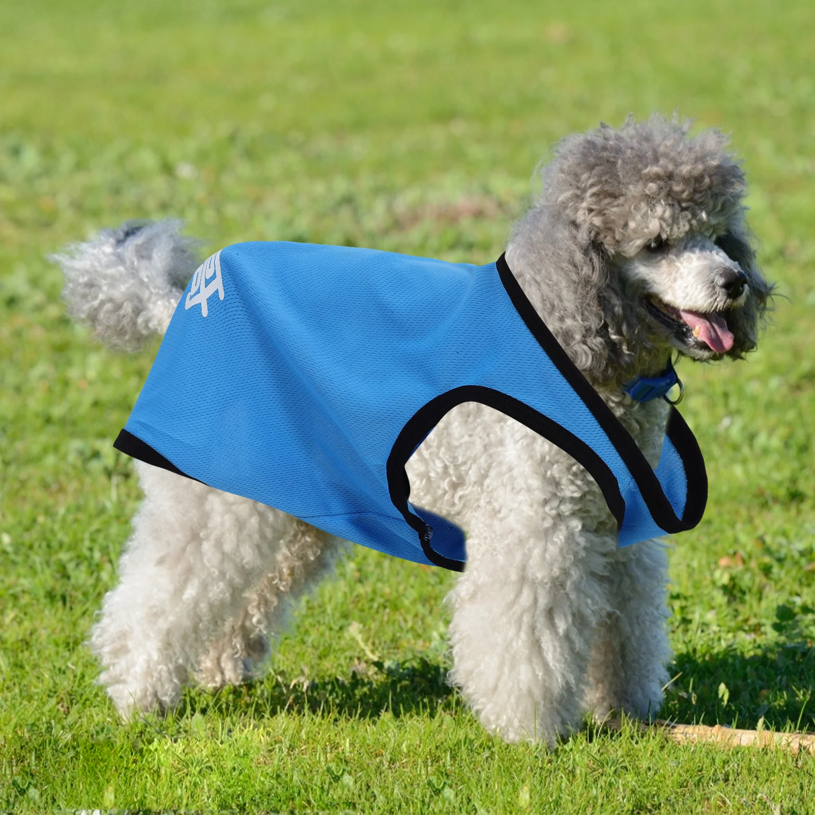 

Comfortable Pet Vest for Dogs Summer Cooling Lightweight Breathable Vest for Small Puppies Stylish No Button Easy Wear Dog