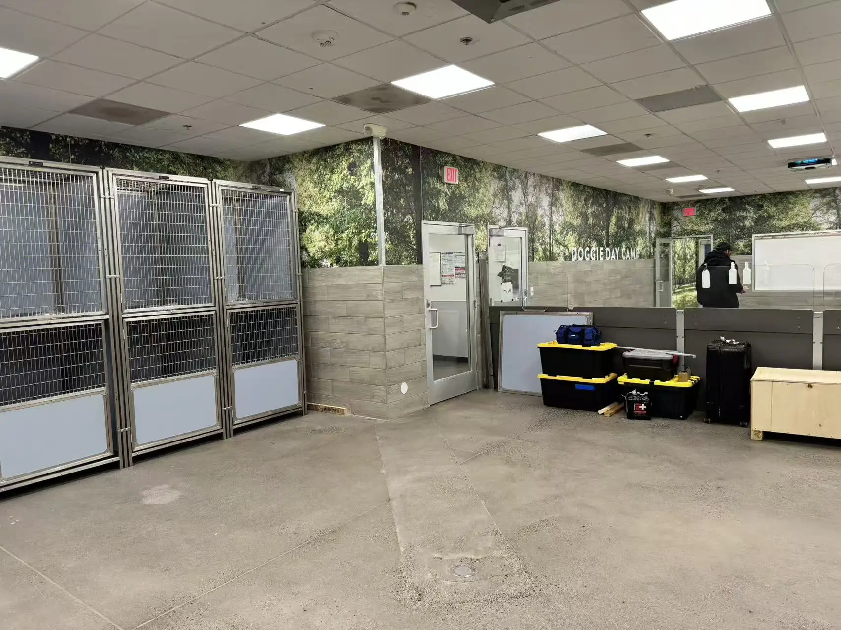 Dog Boarding Facility Modular Kennel Stainless Steel Pet Cage Glass Doors / HDPE Panels Kennel Run