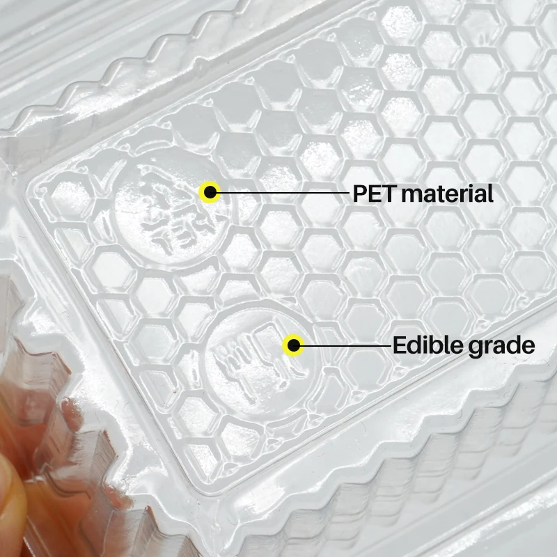 10 sztuk plastikowe pudełko kratowe miód pszczoła pszczelarstwo dla narzędzia pszczelarskie sprzęt dostaw tranparowy miód Box