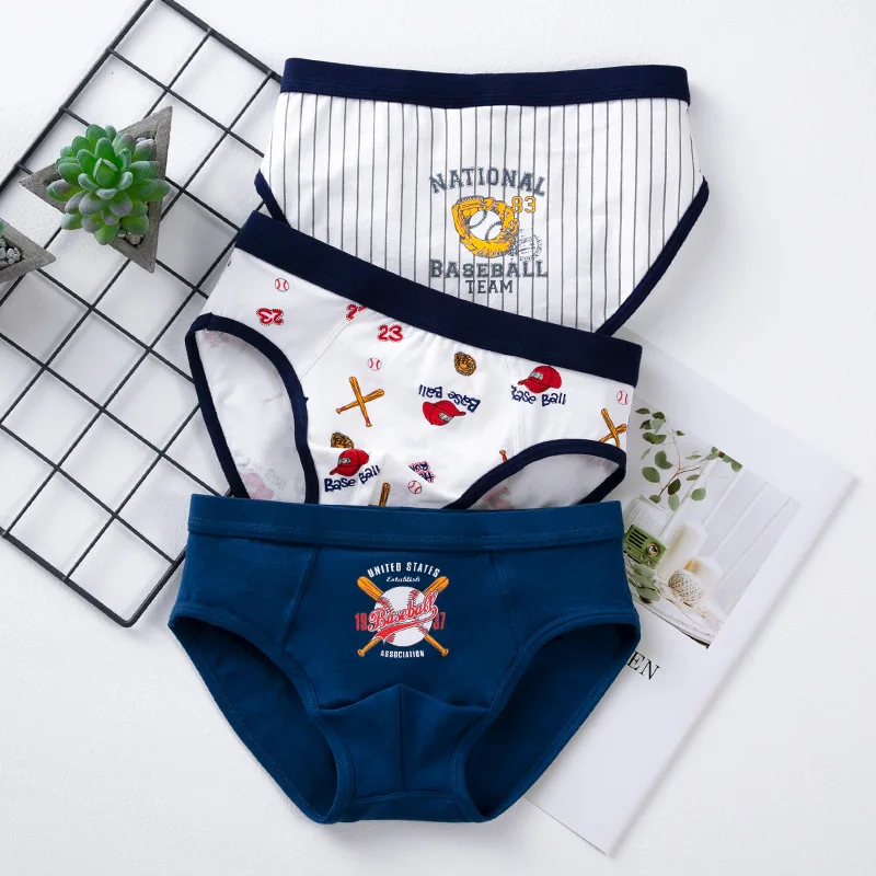 Kids Clothes 193005 3pcs Boys Underwear Cotton Stretchy Panties Cartoon Graphic Kids Bottom for 3 4 6 8 10 12 14 Years Old