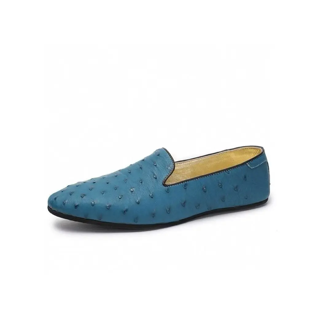 2025 new arrival Fashion Ostrich skin causal shoes men,male Genuine leather Driving shoes PDD740