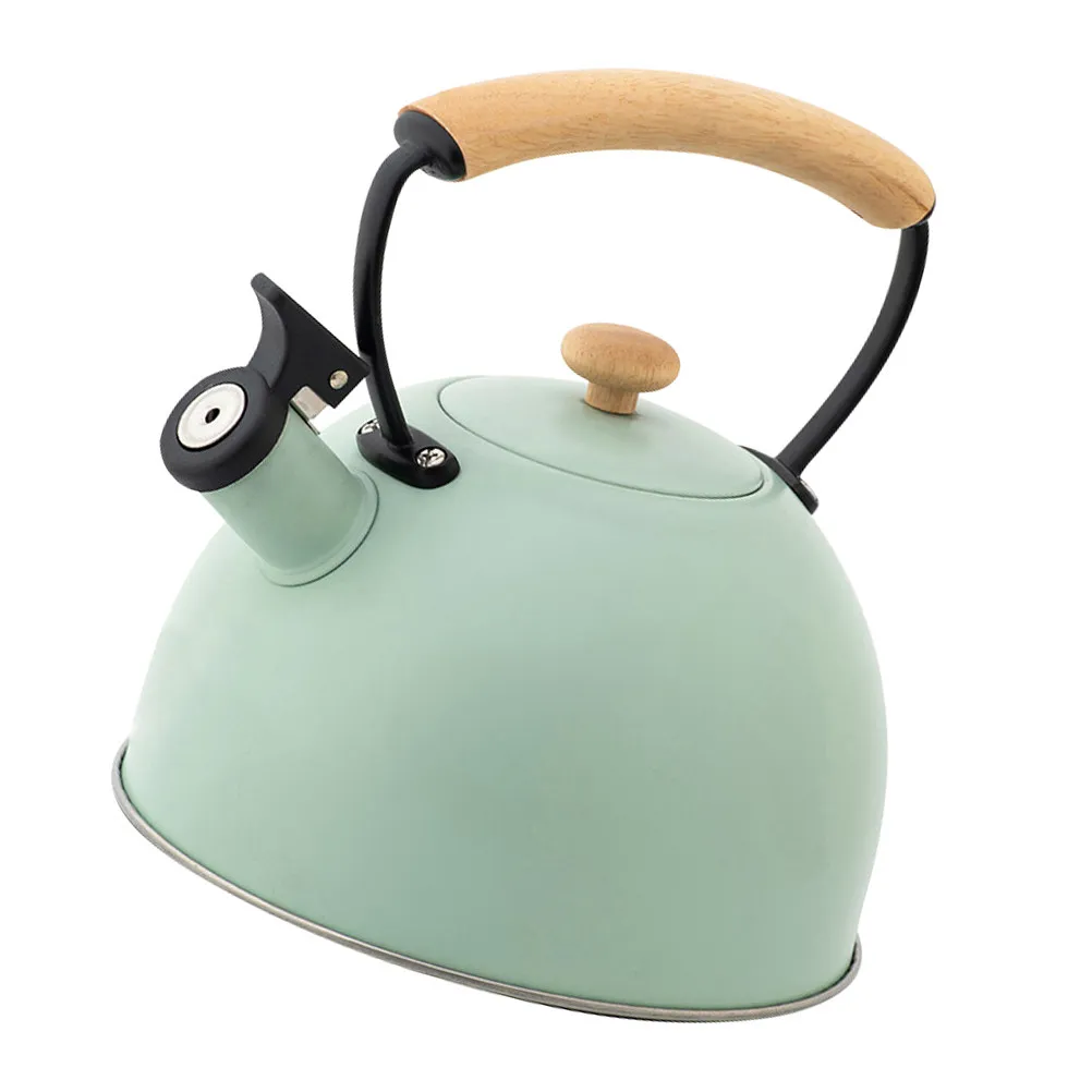 1Pcs Boiling Kettle Stainless Steel Teapot Flat Bottom Design Ergonomic Spout Prevent Overflow Easy Clean Practical
