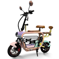 3 Seater Adult Electric Bike Folding Family With Child Seat/Handrail/Pet Basket 500W Range Of 60km Lightweight Electric Bicycle