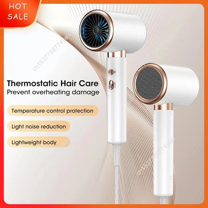 헤어드라이어 일정한 온도 및 빠른 건조 헤어드라이어(디퓨저 포함) 미국 플러그 A62X