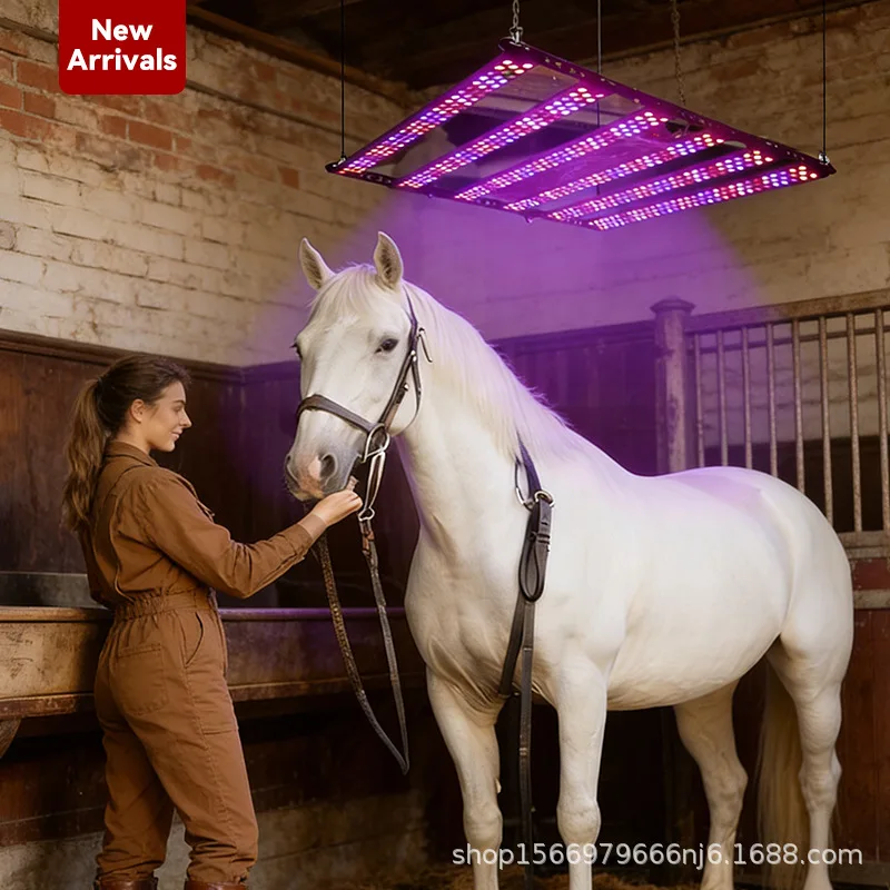 AIROW Stables Stables Red Light Infrared Blue Light Indoor Physiotherapy Muscle Relaxation Remote Control Timing Adjustable
