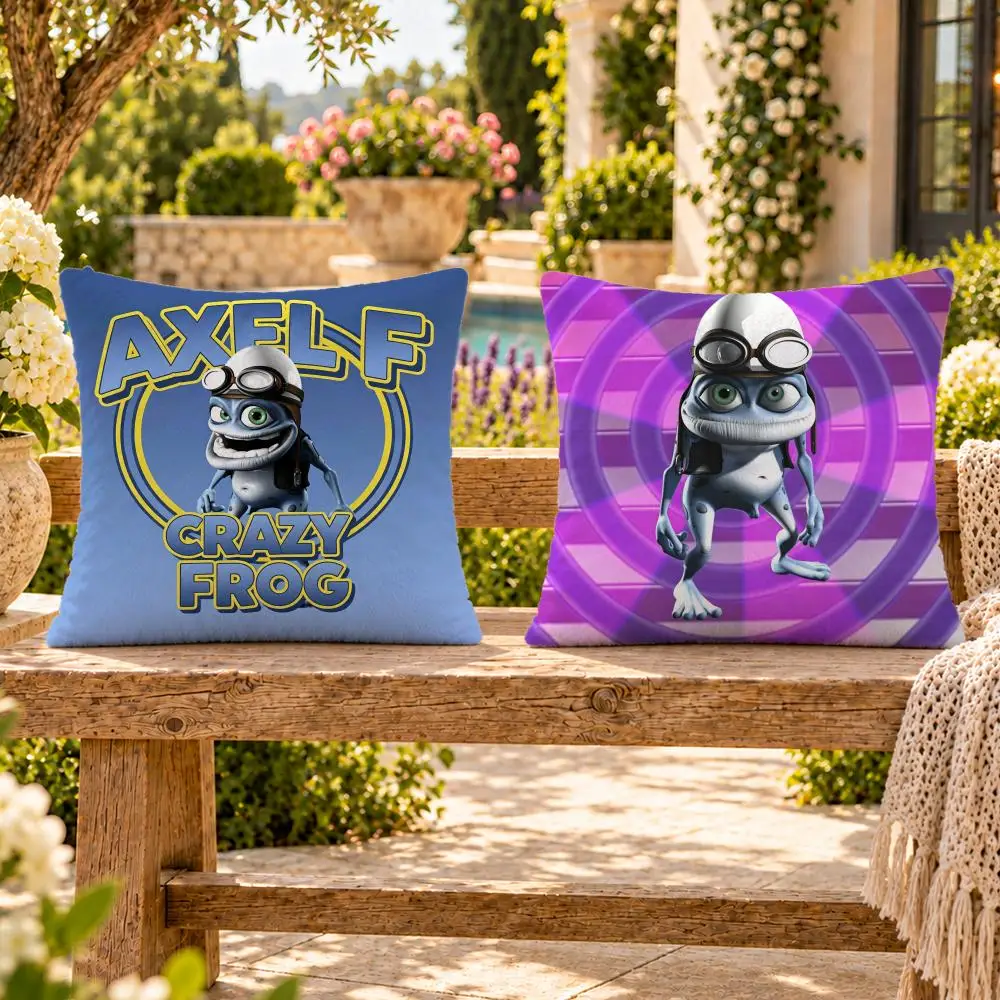 Music Funny Dance Crazy Frog Cushion Cover Soft Plush Throw Pillow Cover Washable Sofa Bed Patio Chair Home Decor