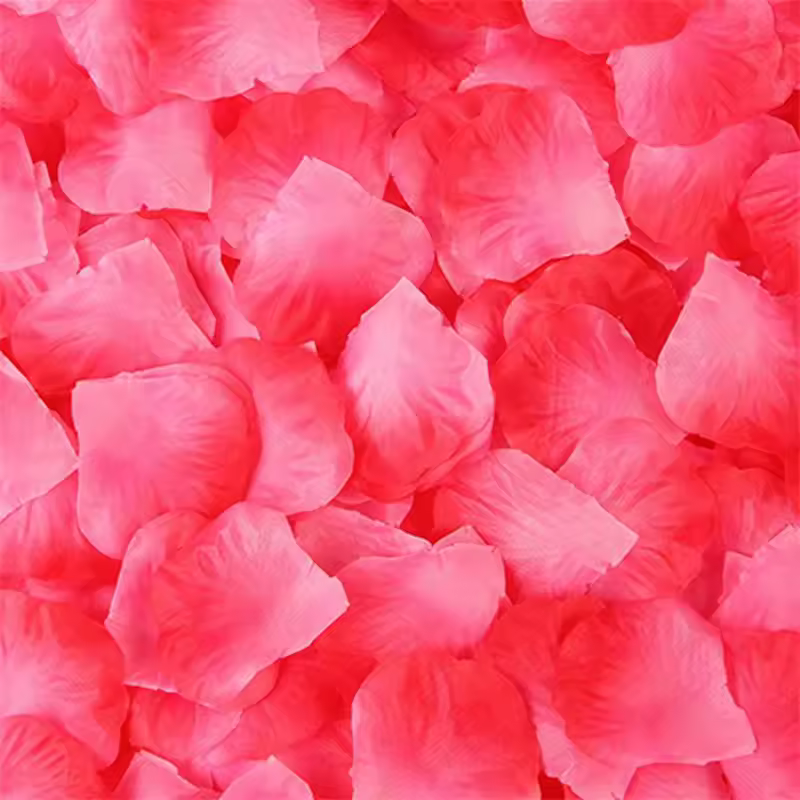Black Artificial Rose Petals For Wedding Party Flower Favors Decoration Roses Supplies 500pcs Silk Petals Rosas Para Casamento - Image 12