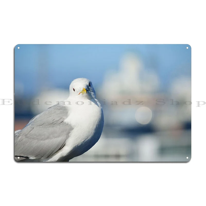 A Seagull In Helsinki Finl Metal Plaque Poster Garage Plaques Designs Create Club Plaques Tin Sign Poster