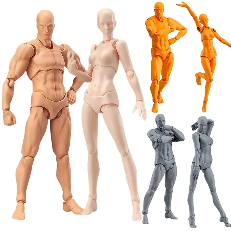 Artist Art Painting Anime Figure Sketch Draw Male Female Movable Body Chan Joint Action Figure Toy Model Draw Mannequin