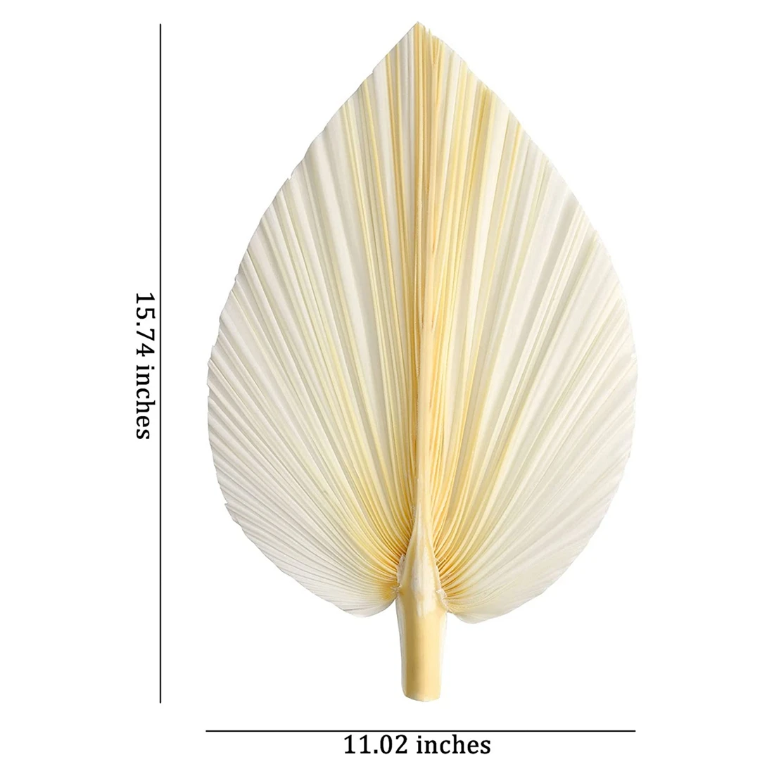 대형 흰색 건조 야자수 잎-프리미엄 품질-우아한 모던 보호 홈 및 웨딩 장식-월 아트, 3 개