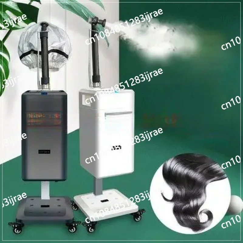 Top Professional Cap Bonnet Ionic Micro Mist Micromist Hair Salon Steamer With Hari SPA Care Treatment