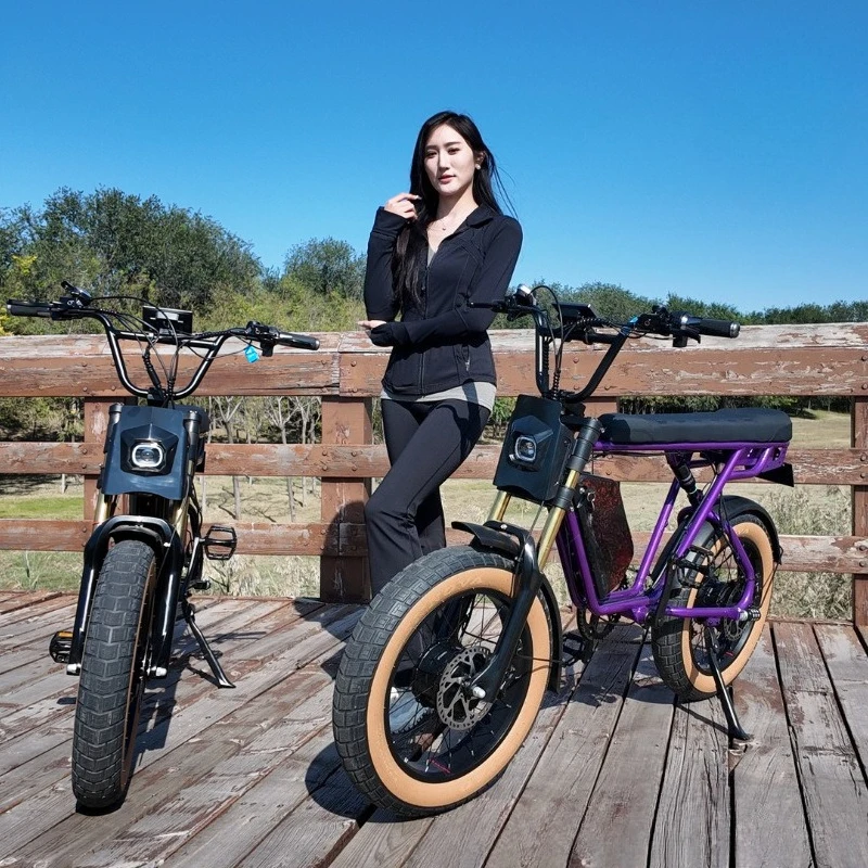 Retro power electric bicycle high power long battery life commuting electric motorcycle