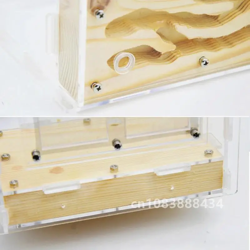 DIY Ecological Acrylic Wood Ant Farm Ant Nest with Feeding Area Insect Ant House for Pet Anthill Workshop 15*14*10cm