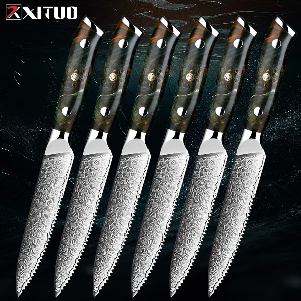 

Luxury Damascus Steak Knife Set 67Layer Japan VG10 Steel Razor Sharp Serrated Blades Stabilized wood handle Bread Dinner knife