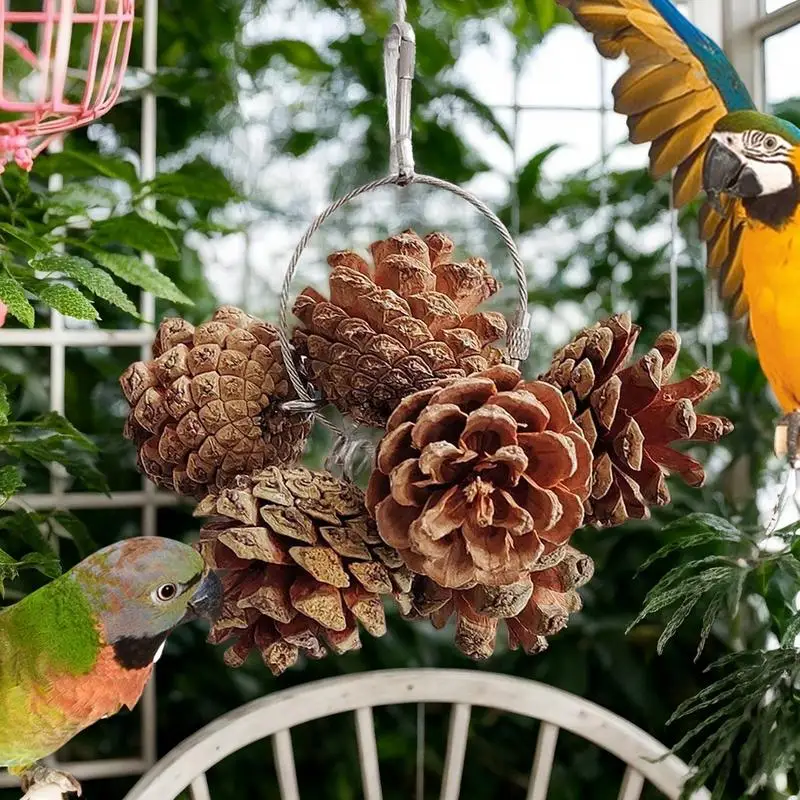 Bird Toys For Parrots Foraging Pinecone Natural Nuts Foraging Toy Bird Cage Accessories Bird Toys For Cage For Small And