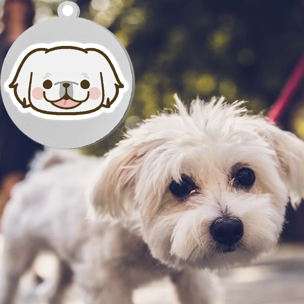 Etiqueta de identificação personalizada para cães de estimação, nome do avatar de desenho animado, pingente personalizado, acessórios, placa de identificação, aço inoxidável, suprimentos para cachorros