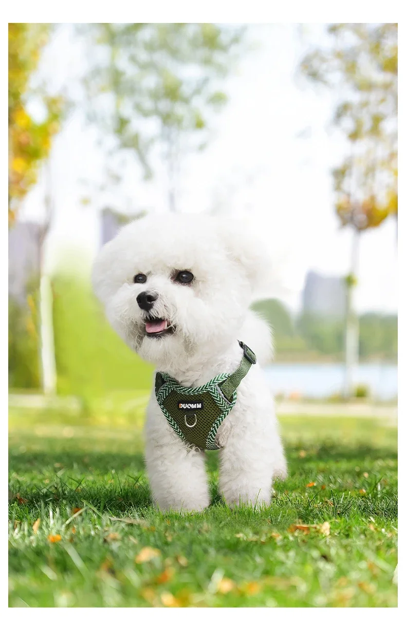 Reflective Breathable Dog Harness And Leash Set For Small Dogs_voghion.com