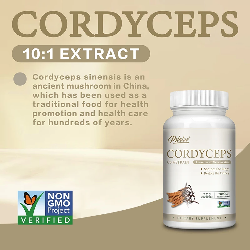 Cordyceps - Energy, Respiratory, Immune, Kidney Health Support