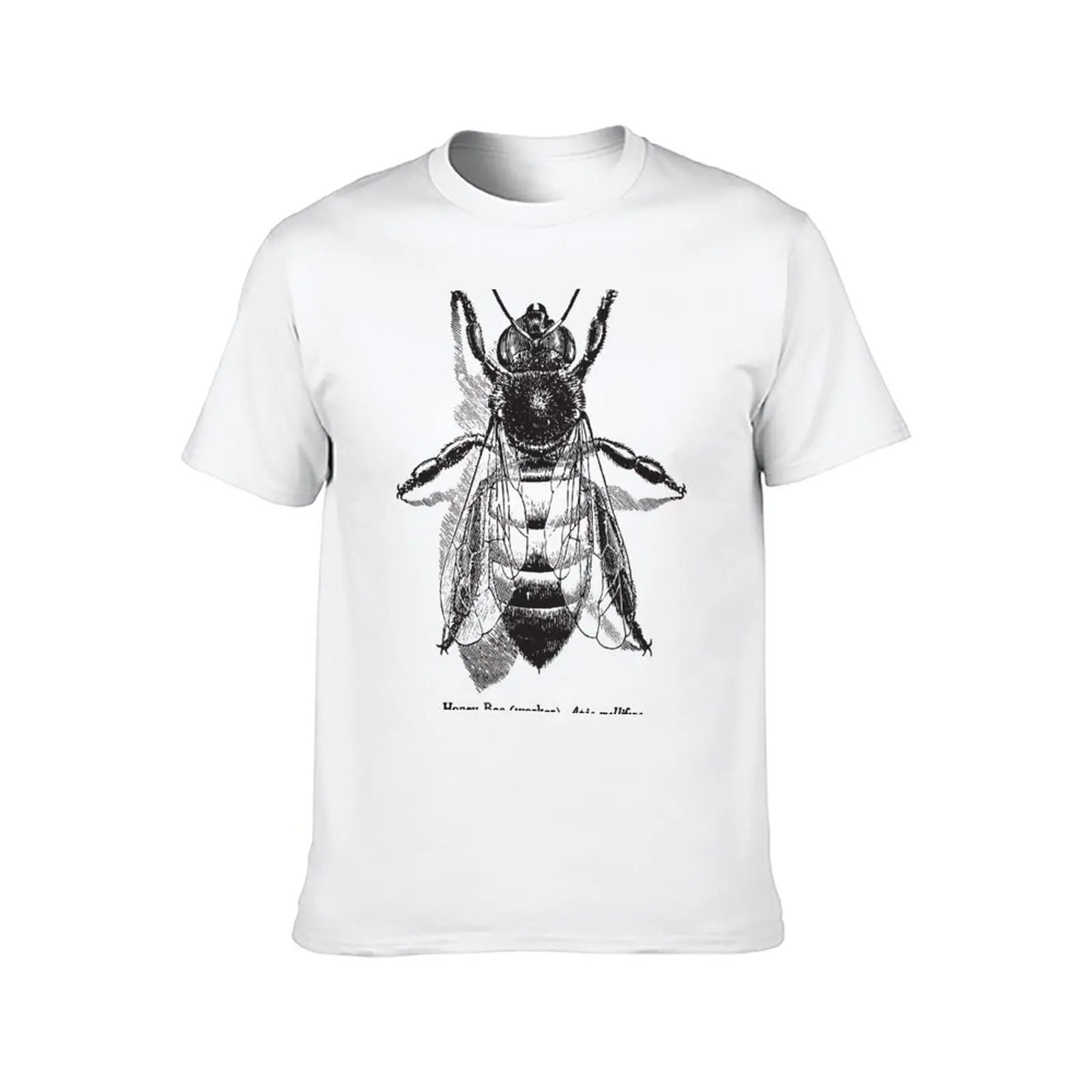 Honey Bee - Vintage Scientific Illustration T-Shirt Man t-shirt customizeds mens graphic t-shirts