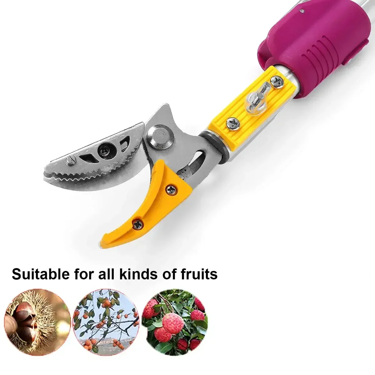 2.2m Max Cutting 1/2 inch Extra Long Reach Pruner Cut and Hold Bypass Pruner Fruit Picker and Tree Cutter For Garden