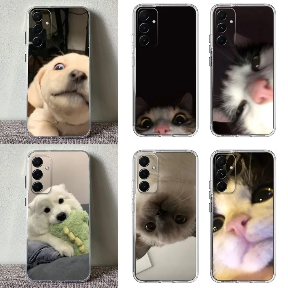 

Funny Cute Cat Dog Phone Case Clear Phone Case For Samsung A53,A54,A52 A72,A73,A33,A13,A32 Back Cover