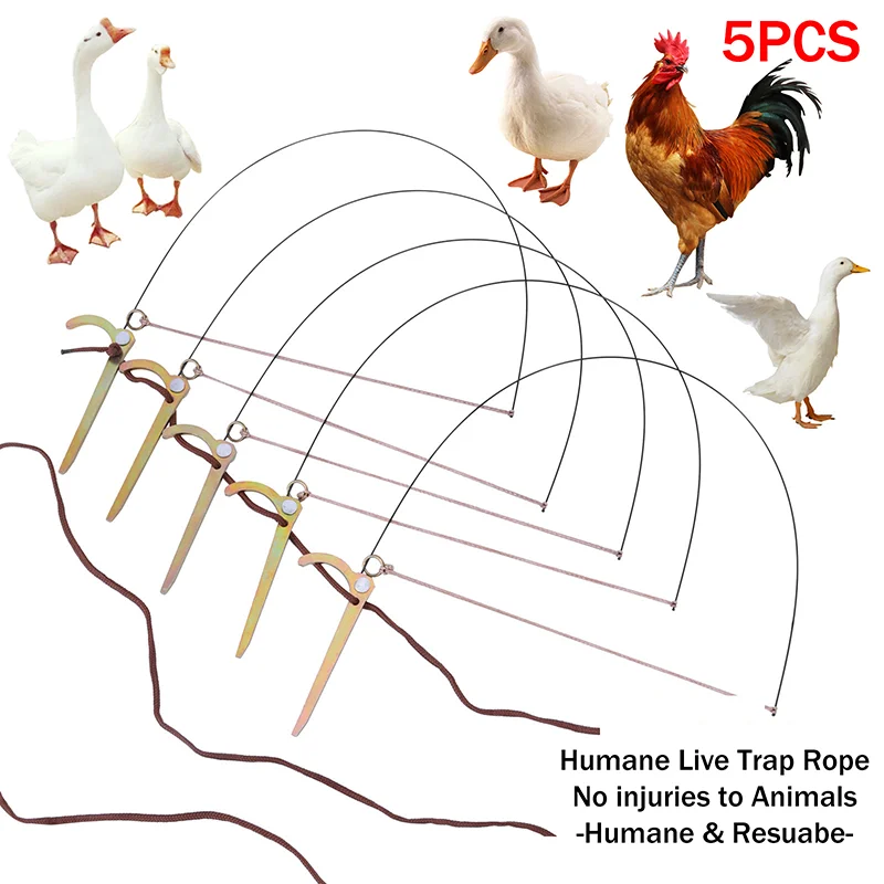 Birds’ Feet-Friendly Wire Fittings: Twist Knot, 5PCS Stainless Steel Package